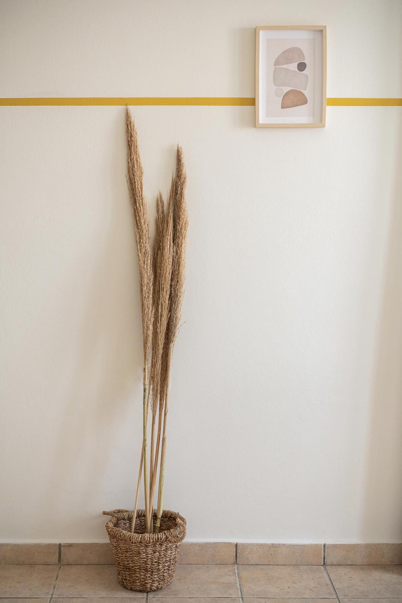 Artemis Aparthotel Stalós